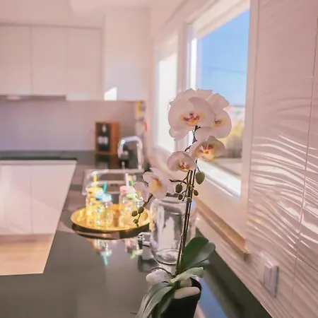 Hébergement de vacances Marlin House Ii *